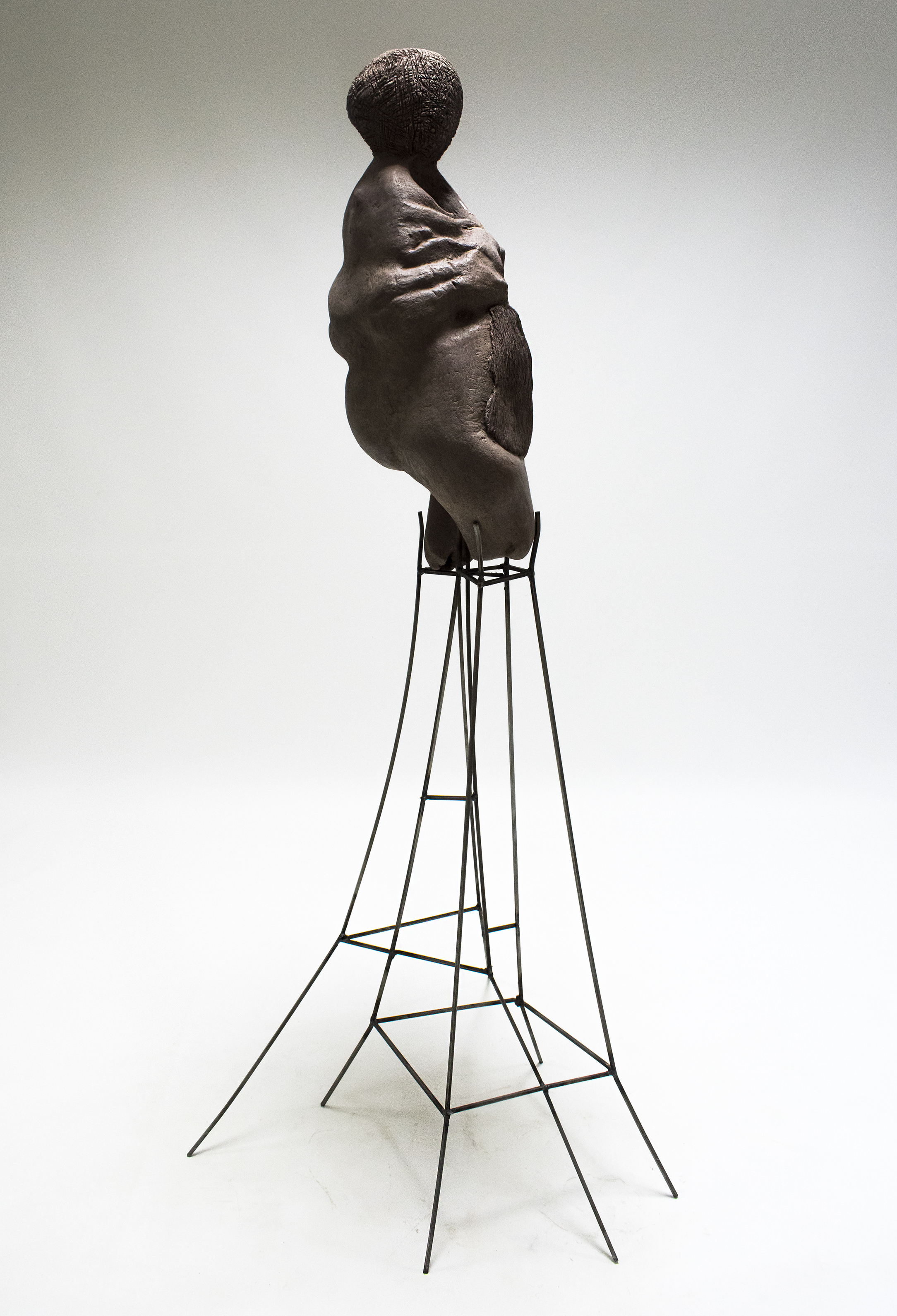 21st Century Venus7*jpg